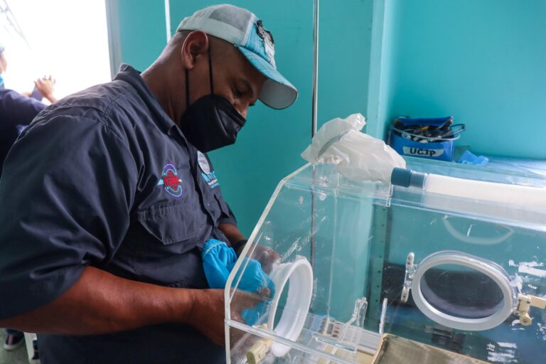 photo_4899986119538182999_w-768x512