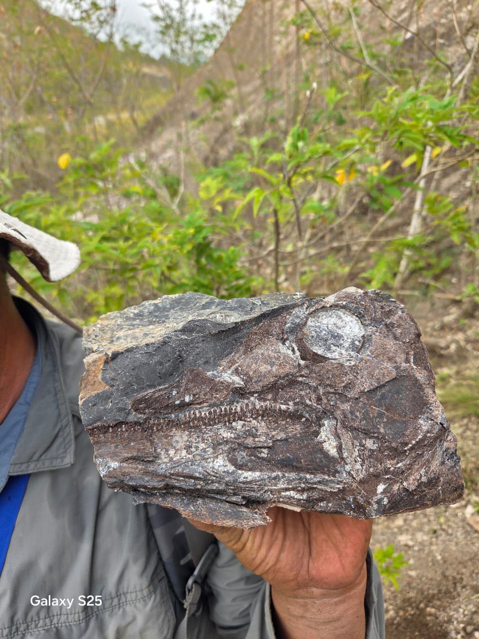 photo_5148029453068864294_y