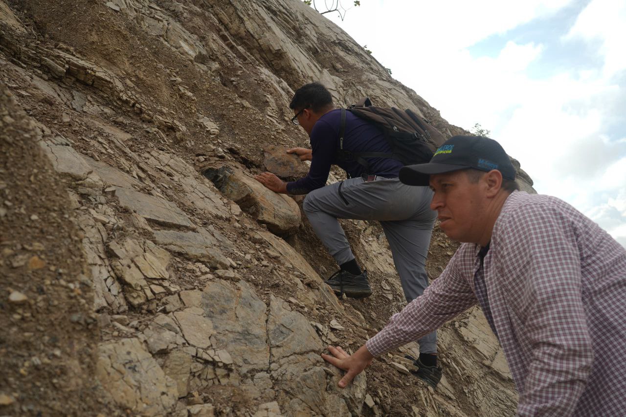 photo_5148029453068864298_y