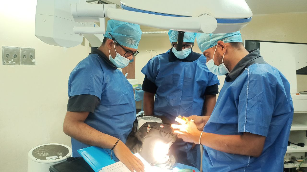 photo_5177276891864435464_y